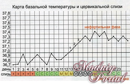 Базальная температура при беременности
