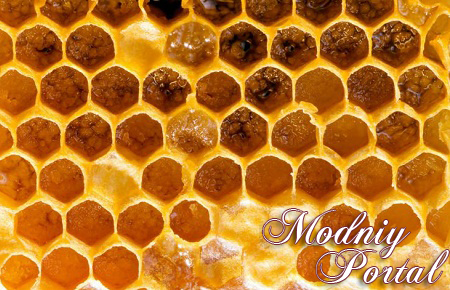 Лечебные свойства прополиса