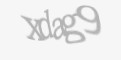 Защитный код