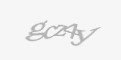 Защитный код